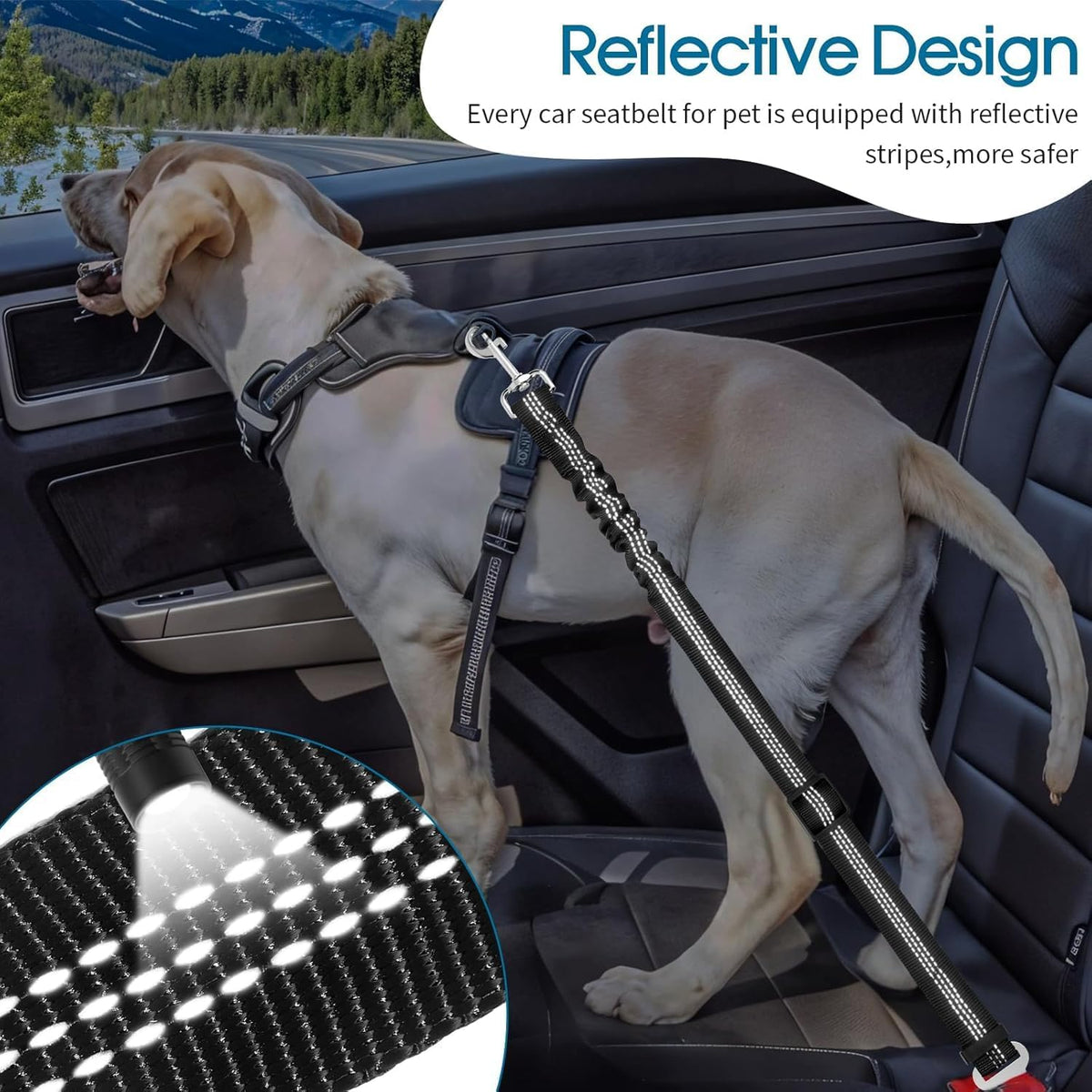 Dog's Car Seat Belt