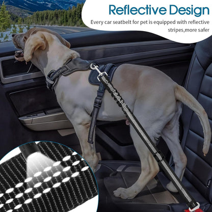 Dog's Car Seat Belt