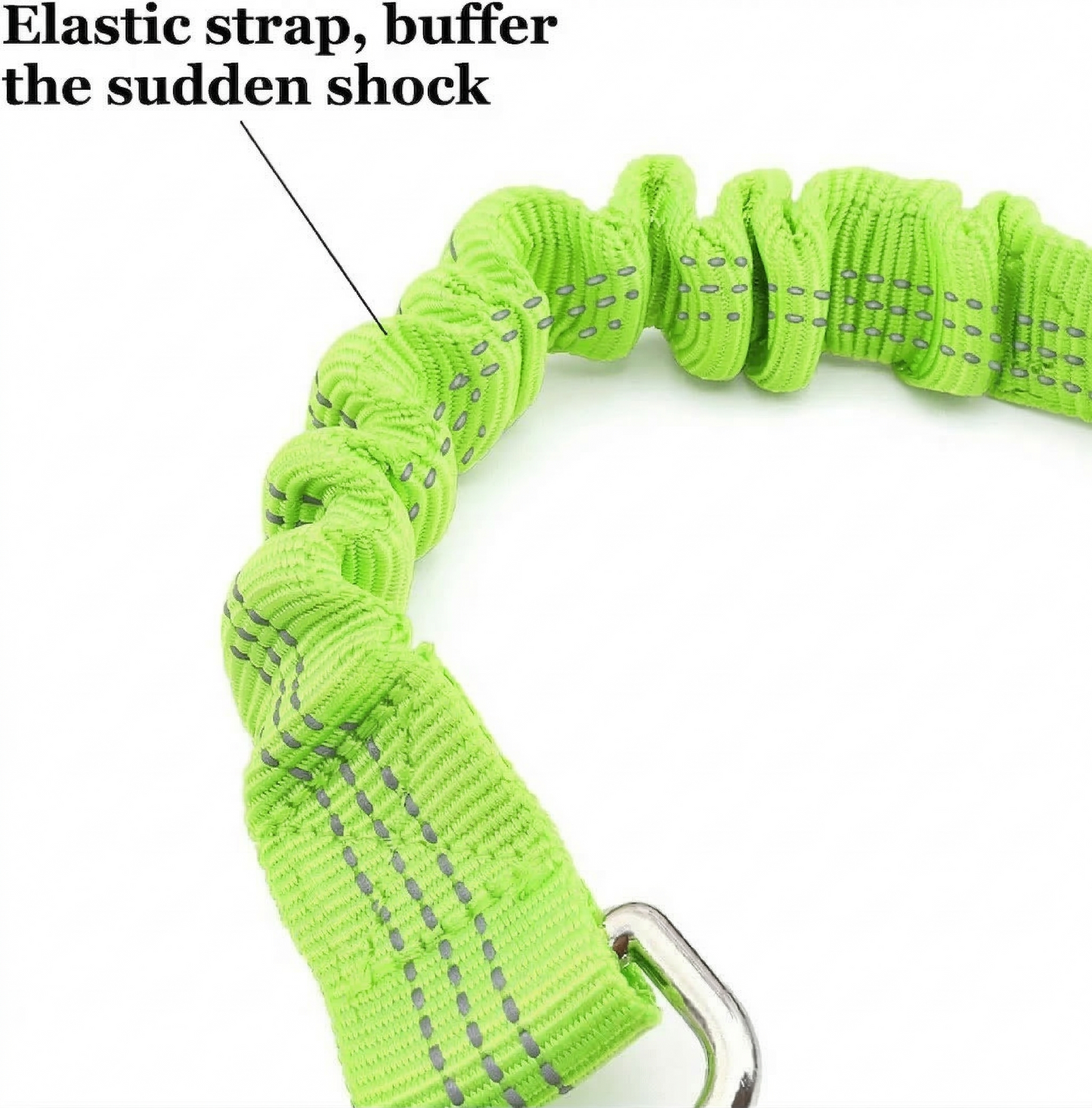 Dog's Car Seat Belt