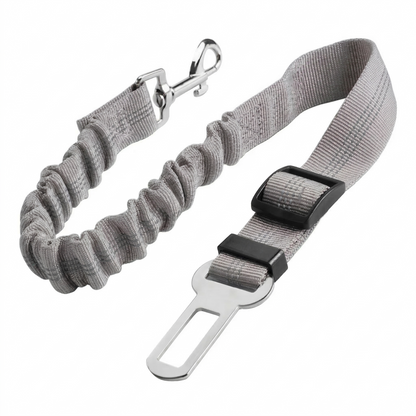 Dog's Car Seat Belt