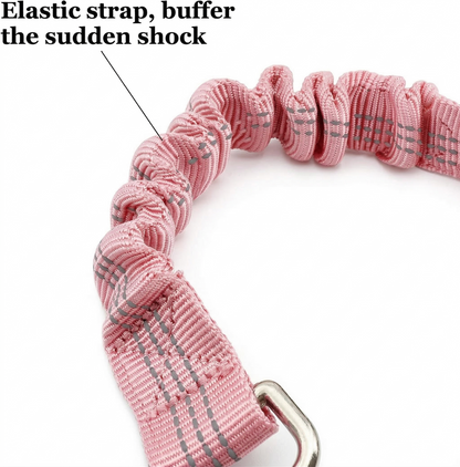 Dog's Car Seat Belt