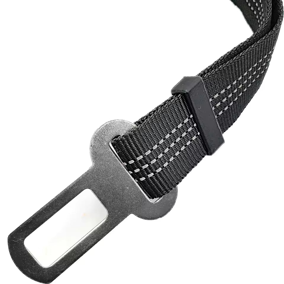 Dog's Car Seat Belt