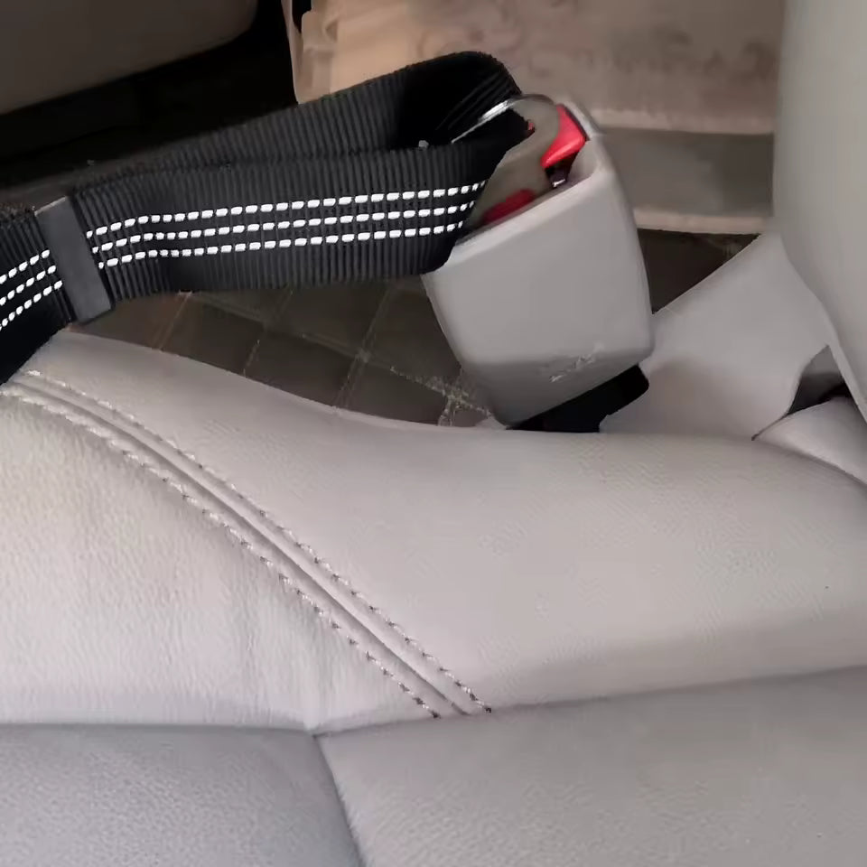 Dog's Car Seat Belt