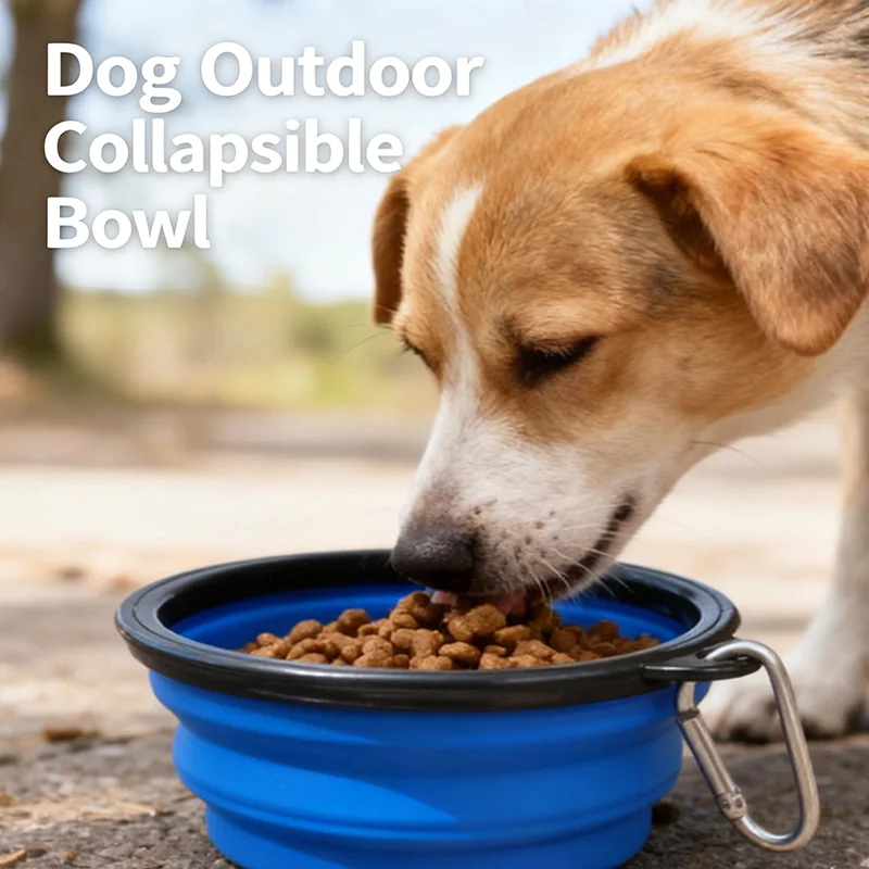 Foldable Collapsible Silicone Pet Feeding Bowl Portable Dog Cat Water Food Dish Outdoor Travel Camping Walking with Carabiner